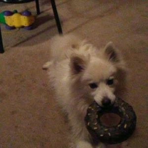 Meet your Posher, Terry